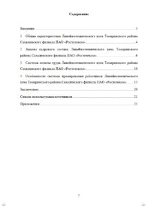 Ленитесь писать отчет по практике для БЕЛГУ? Мы сделаем работу за вас. Выдержка из отчета по практике
