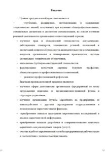пример раздела "Введение " из отчета по практике на заказ